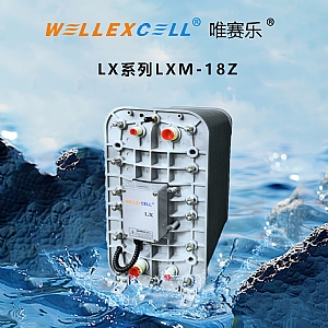 WELLEXCELL唯賽樂LXM18Z EDI模塊